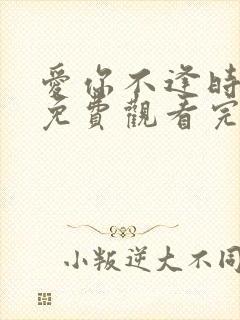 爱你不逢时短剧免费观看完整版