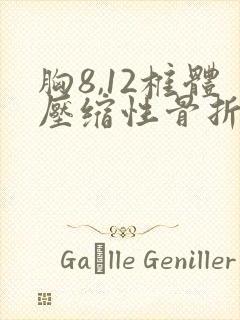 胸8,12椎体压缩性骨折严不严重