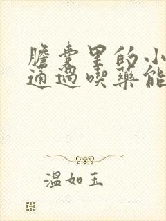 胆囊里的小结石通过吃药能排出来吗