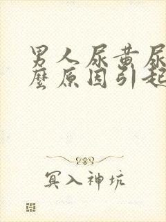 男人尿黄尿是什么原因引起的