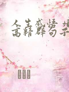 人生感悟 境界高精辟句子