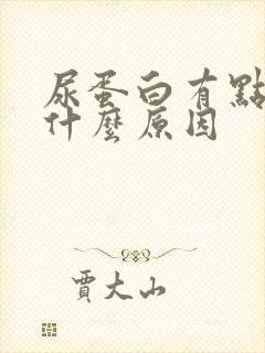 尿蛋白有点高是什么原因