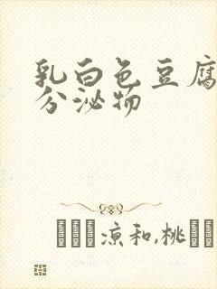 乳白色豆腐渣样分泌物