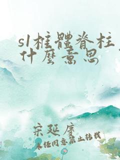 s1椎体脊柱裂什么意思