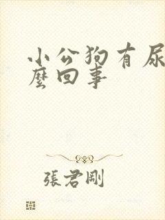 小公狗有尿血怎么回事