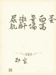 尿微量白蛋白尿肌酐偏高