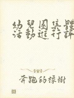 幼儿园集体教学活动进行评价