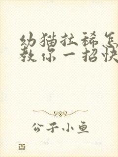 幼猫拉稀怎么办教你一招快速解决