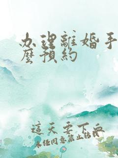 办理离婚手续怎么预约