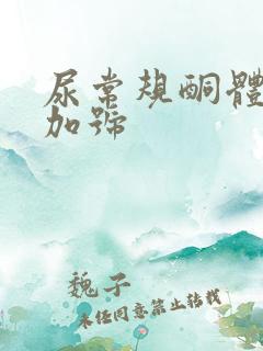 尿常规酮体三个加号