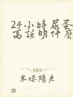 24小时尿蛋白高说明什么