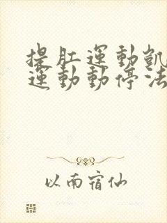 提肛运动凯格尔运动动停法