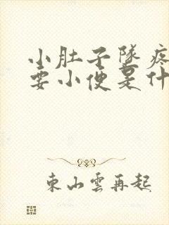 小肚子坠疼老是要小便是什么原因引起的