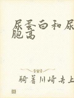 尿蛋白和尿白细胞高