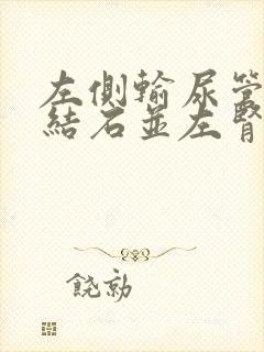 左侧输尿管下段结石并左肾积液