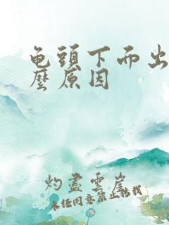 龟头下面出血什么原因