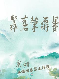 肾有结石用激光碎石手术费用要多少钱