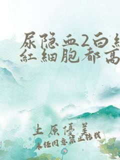 尿隐血2白细胞红细胞都高