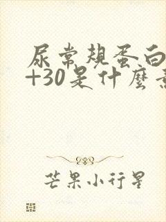 尿常规蛋白质1+30是什么意思