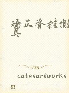 矫正脊椎侧弯支具