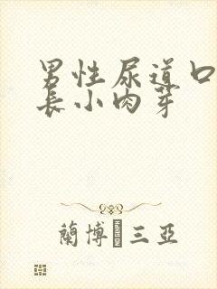 男性尿道口两侧长小肉芽