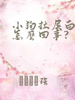 小狗拉屎白色的怎么回事?