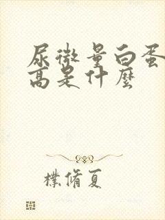 尿微量白蛋白偏高是什么