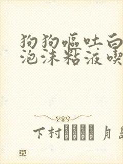 狗狗呕吐白色的泡沫粘液吃什么药