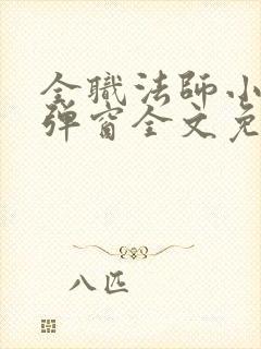 全职法师小说无弹窗全文免费阅读