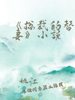 《总裁的替身前妻》小说