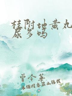 桂附地黄丸治夜尿多吗