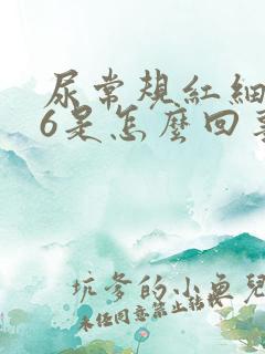 尿常规红细胞86是怎么回事