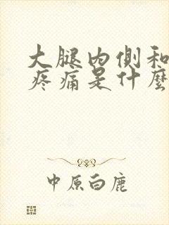 大腿内侧和膝盖疼痛是什么原因引起的