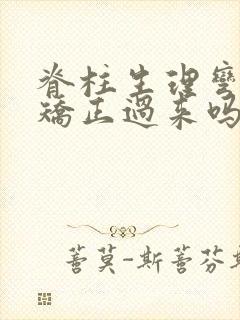 脊柱生理弯曲能矫正过来吗