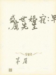 盛世婚宠:早安,厉先生