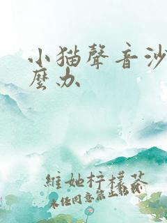 小猫声音沙哑怎么办