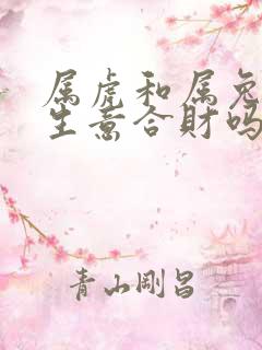 属虎和属兔的做生意合财吗