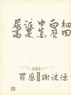 尿液中白细胞过高是怎么回事