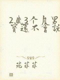 2岁3个月男宝宝还不会说话