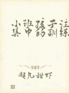 小班孩子注意力集中的训练方法