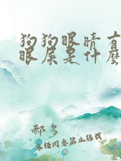 狗狗眼睛有糊状眼屎是什么原因