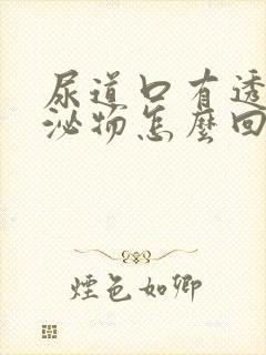 尿道口有透明分泌物怎么回事