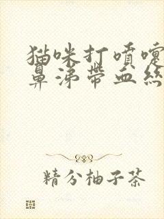 猫咪打喷嚏流黄鼻涕带血丝