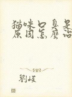 猫咪口臭是什么原因怎么治