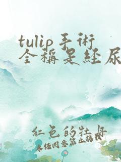 tulip手术全称是经尿道前列腺激光吗