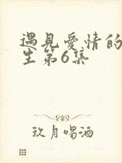 遇见爱情的利先生第6集