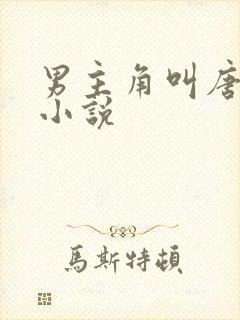 男主角叫唐宇的小说