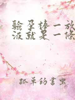 验孕棒一放进尿液就是一条杠