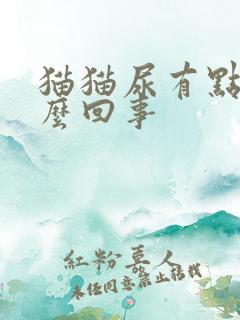 猫猫尿有点血怎么回事