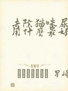 去除猫咪尿骚味用什么最好